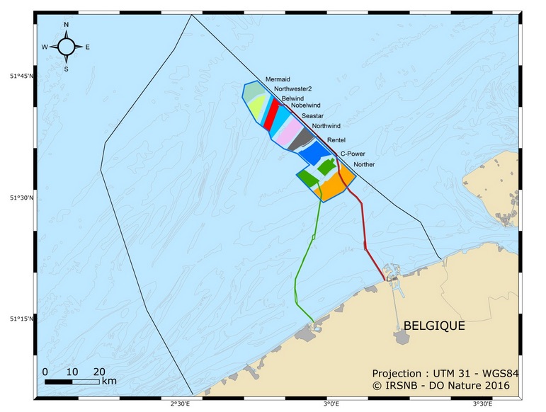 Localisation des parcs éoliens offshore dans les eaux territoriales belges.