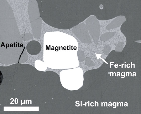 Image au microscope électronique d’une expérience réalisée à 1020°C et 1 kbar mettant en évidence la séparation d’un liquide magmatique enrichi en silice et d’un liquide enrichi en fer. Des cristaux de magnétite et d’apatite sont présents dans le magma riche en fer. © ULiège