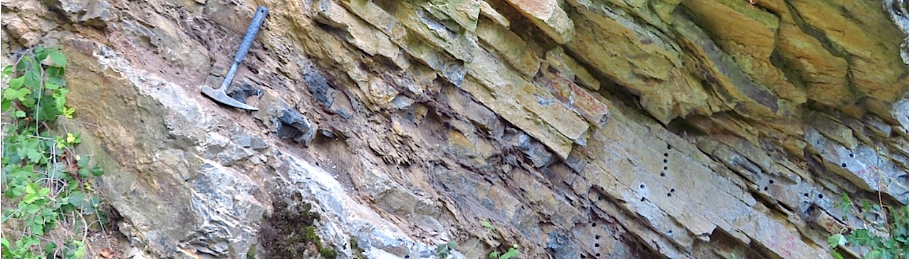 L’évènement d’extinction du Dévonien est marqué par des niveaux de schistes noirs (indiqués par le marteau de géologue) qui interrompent la succession continue de calcaires marins, dans le gisement de Steinbruch Schmidt (Bad Wildungen), en Allemagne.