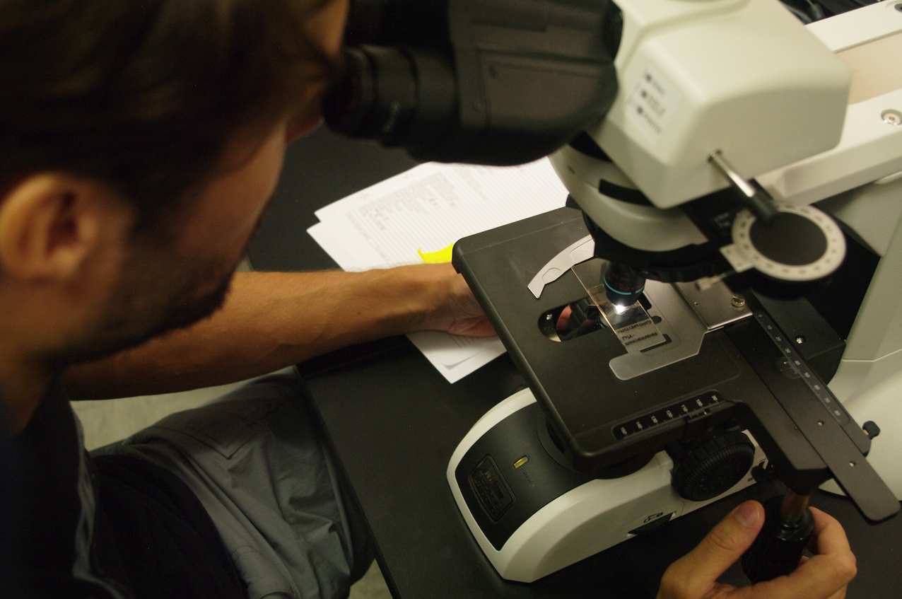 L’étude des échantillons prélevés sur le terrain se fait au microscope, ici dans le laboratoire du Pr Rosen © Simon Jusseret