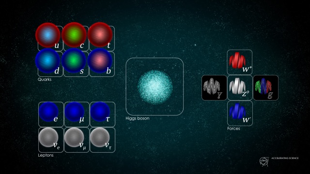 Les particules élémentaires. © CERN