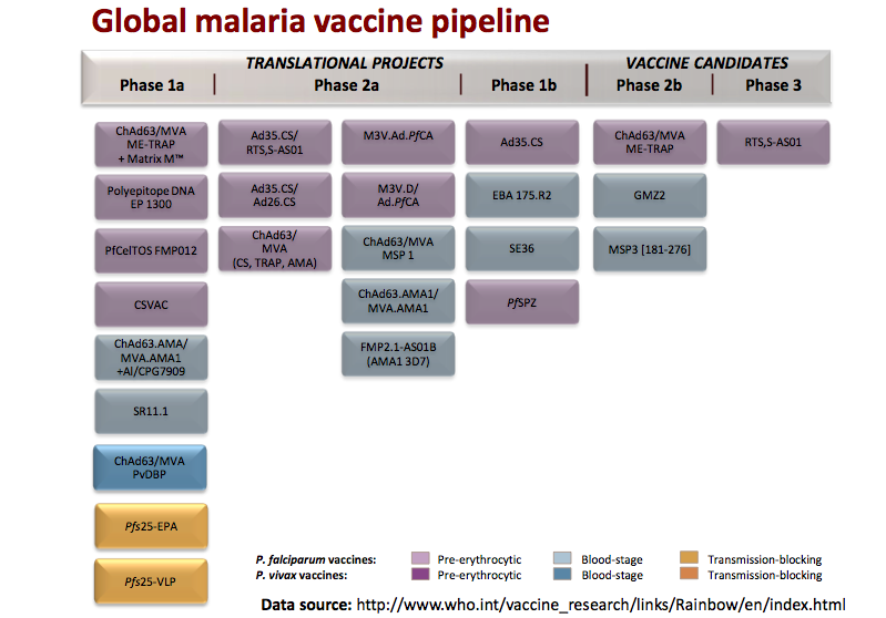 Candidats vaccins contre la malaria