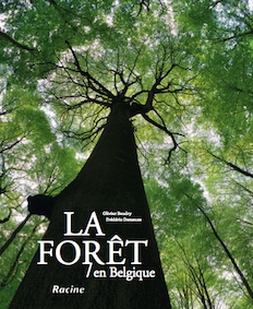 « La Forêt en Belgique » par Olivier Baudry. Editions Racine. VP 39,95 euros