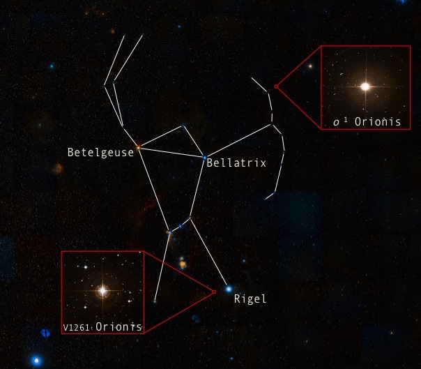 La constellation d’Orion est bien visible sous nos latitudes en hiver. La température à la surface des étoiles peut aisément être déterminée par leur couleur. Betelgeuse (3.600 degrés) apparait rouge et Bellatrix (21.000 degrés) bleue. En revanche, mesurer la température à l'intérieur des étoiles constitue un véritable défi. La constellation d'Orion contient justement deux étoiles géantes rouges étudiées par les astronomes de l’ULB. L'une, V1261 Orionis, a permis d'estimer la température de la fabrication des éléments plus lourds que le fer au cœur des étoiles (environ 100 millions de degrés). L’autre, o1 Orionis, produit ces éléments lourds depuis 1.3 million d'années.