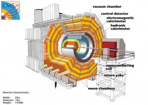 Schéma de l'expérience CMS. © CERN