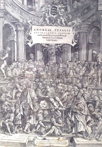 Frontispice et portait (en tête d’article), d’André Vésale dans « De humani corporis fabrica » de 1543, attribués à Jan Stephan Van Calcar (1499-1548). (Cliquez pour agrandir)