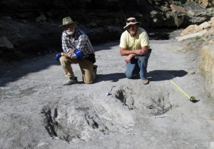 Le Pr Martin Lockley (à droite) et un de ses collègues, à côté de deux grandes traces grattées dans le sol, probablement par des théropodes, lors d’un parade nuptiale. Ces traces, datant du Crétacé, on été retrouvées au Colorado. © Martin Lockley