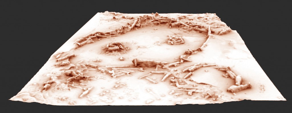 Restitution 3D des structures de la grotte de Bruniquel après la suppression des repousses stalagmitique récentes. Il ne s'agit donc pas d'une vue de la structure telle qu'elle se présente aujourd'hui. Les 400 fragments de stalagmites de ces structures circulaires totalisent 112 mètres cumulés et un poids estimé à 2,2 tonnes de matériaux déplacés. Ce modèle 3D est construit à partir d'une série de photographies réalisées par Pascal Mora. (Cliquer pour agrandir)
