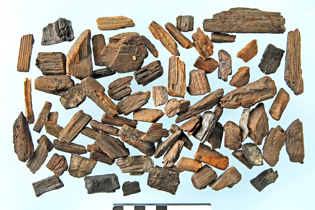 Quelques fragments de bois étudiés par l'archéobotaniste.  © Koen Deforce, IRSNB