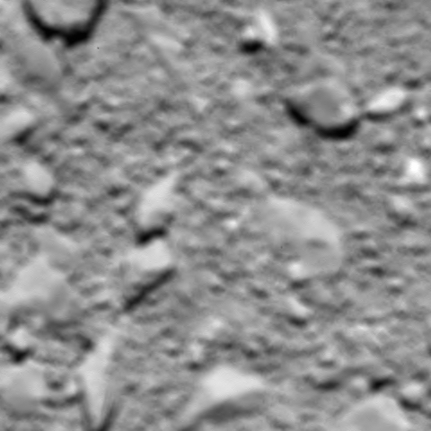 Voici la dernière image obtenue par Rosetta avant de heurter la comète 67P. Elle a été prise d'une altitude d'environ 20 mètres et à une résolution de 5 mm par pixel. Au cours de la descente, la sonde a pu prendre comme prévu des images d'un des puits de la région de Ma'at, ce qui pourrait révéler certains secrets de la comète. PHOTO ESA/Rosetta/MPS for OSIRIS Team MPS/UPD/LAM/IAA/SSO/INTA/UPM/DASP/IDA