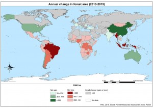Evolution de la forêt mondiale, données FAO. Cliquer pour agrandir.