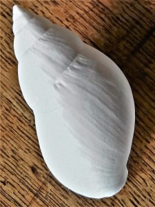 Reproduction 3D brute d’une Achatina fulica fulica © MRAC