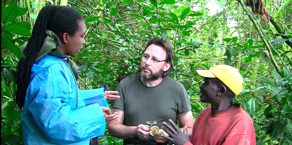 Le Dr Jérôme Degreef, lors de la mission Rwanda Fungi 2015. © Frank Hidvégi