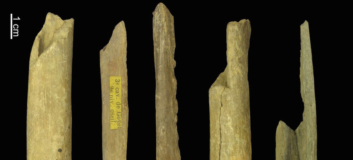 Os humains fragmentaires provenant des grottes de Goyet, datant entre 27 000 et 35 000 ans, et porteurs des haplogroupes M ou N. © Eric Dewamme / IRSNB