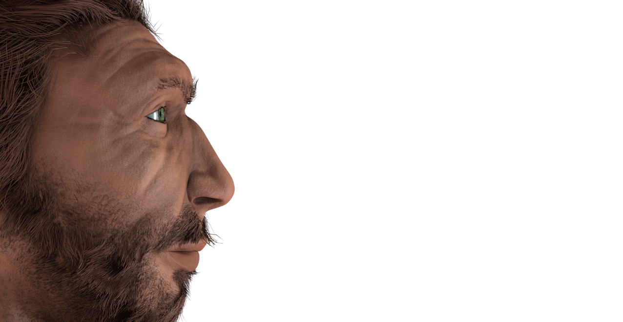 Homme de Neandertal, reconstitution. © IRSNB