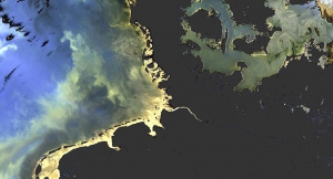 De chaque côté du Danemark, les nuances de couleurs de la Mer du Nord et de la Baltique dues au plancton sont observées par Sentinel-3A.© Eumetsat