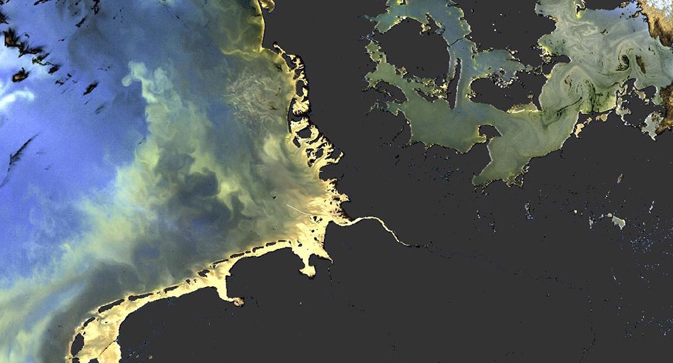 De chaque côté du Danemark, les nuances de couleurs de la Mer du Nord et de la Baltique dues au plancton sont observées par Sentinel-3A.© Eumetsat