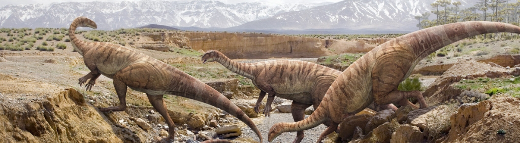 Platéosaures.