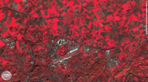 La végétation dans la région de Gosselies, observée en infrarouge par Sentinel-2, en novembre 2018. Source: terrascope.be