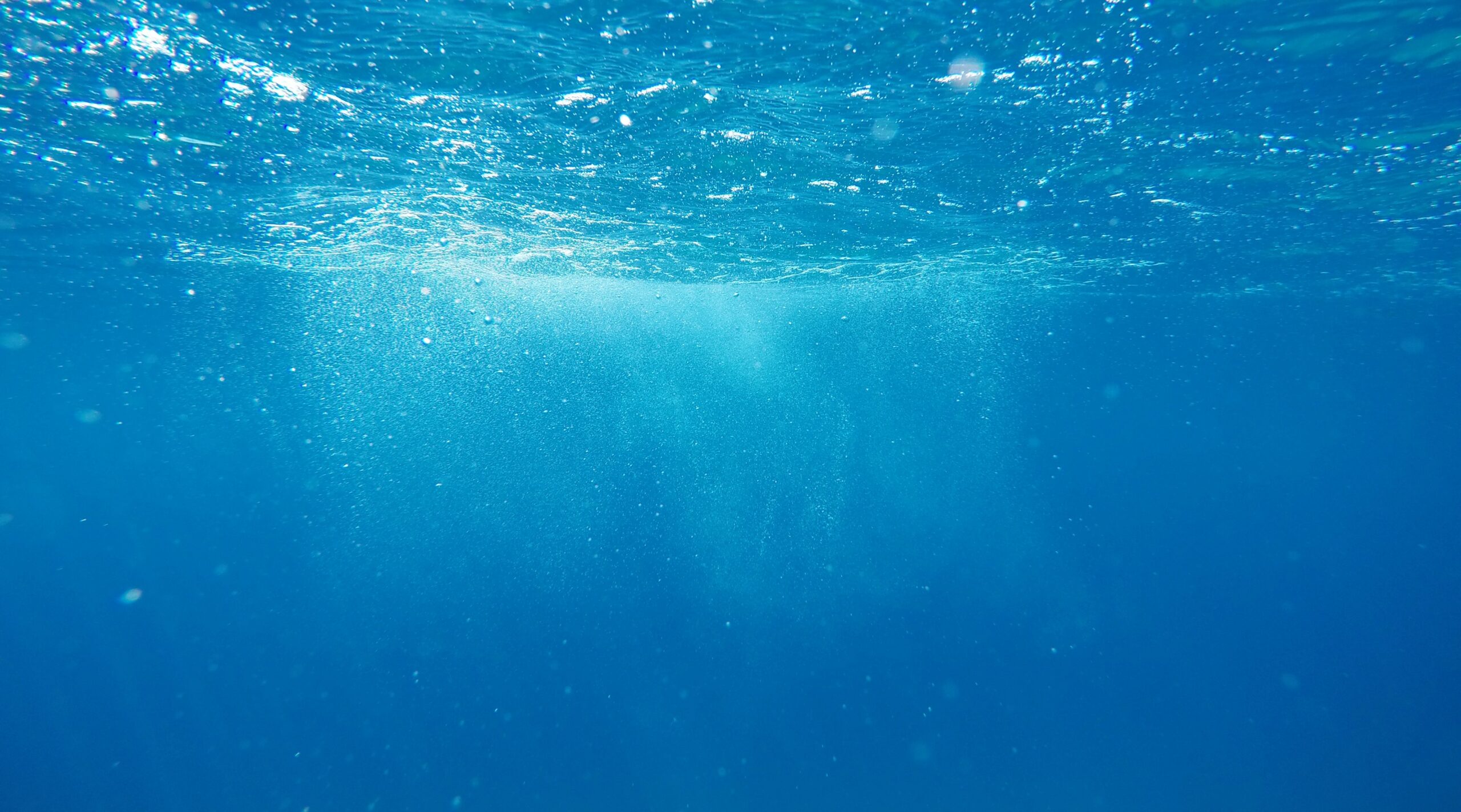 La séquestration du carbone ne s’opère pas seulement dans l’océan profond