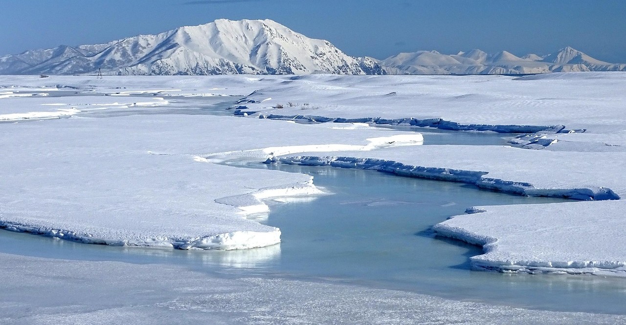 Les algues qui se développent dans et sous la banquise antarctique jouent un rôle essentiel dans l’écosystème marin de l’océan Austral. En compilant les analyses de 362 carottes de glace reprises dans la littérature scientifique et récoltées entre 1989 et 2019, une équipe internationale de chercheurs, dont François Fripiat, glaciologue à l’ULB, a pu évaluer la contribution de ces algues à la production locale de carbone organique par photosynthèse : jusqu’à 33 millions de tonnes par an, ce qui représente environ 15 à 18 % de la production primaire de toute la région.