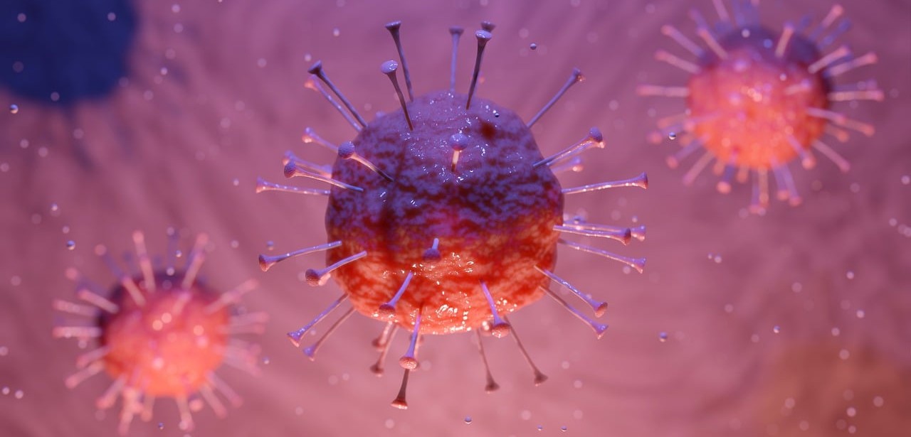 Virologie : un outil bio-informatique innovant capable de mieux identifier les ARN circulaires