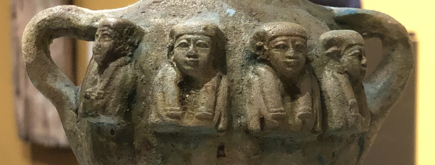 Pourquoi les oiseaux changent d’altitude au fil des saisons? Changement climatique ou quête de nourriture? Les spécialistes ont tranché.