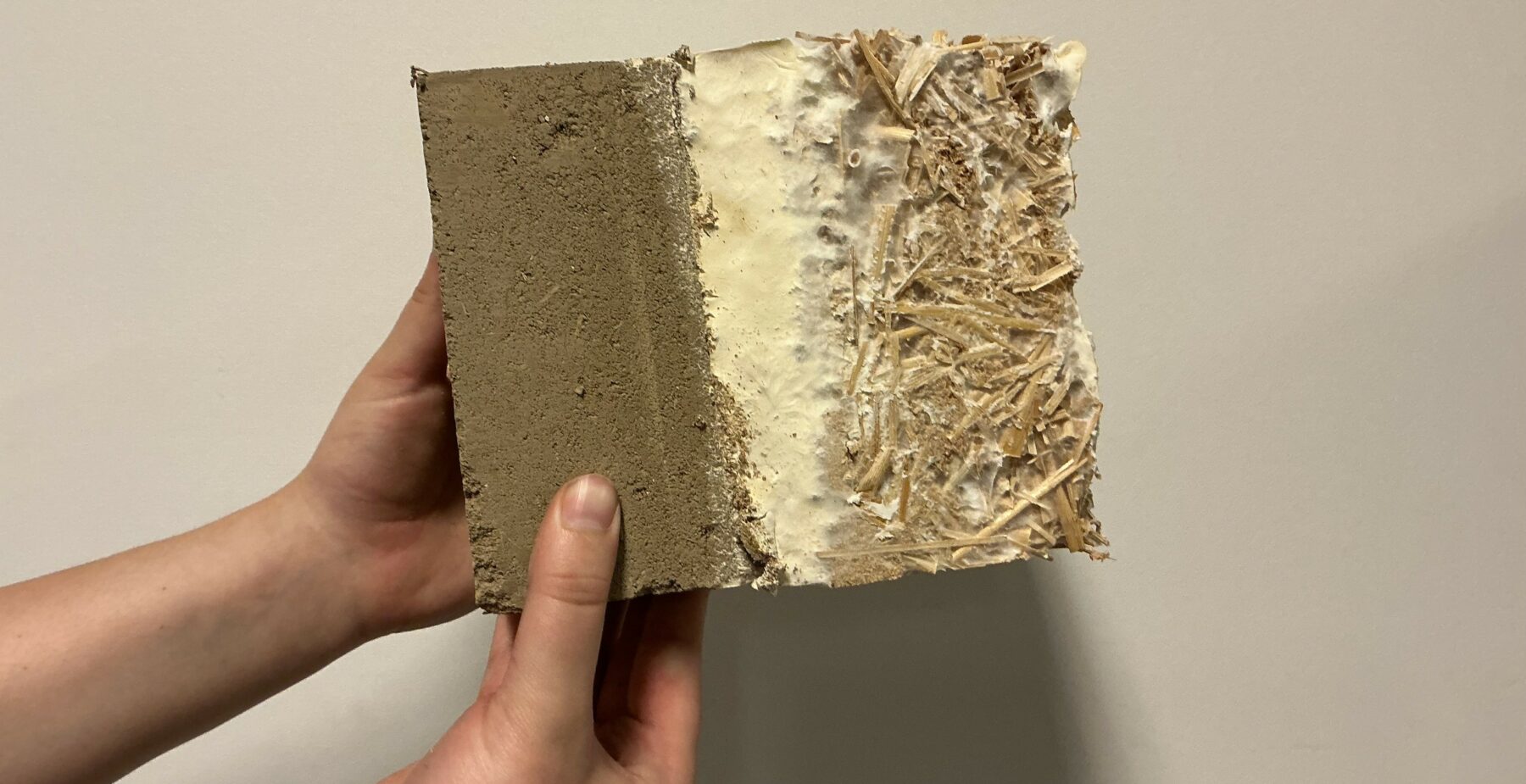 Le potentiel des champignons comme matériaux de construction durables