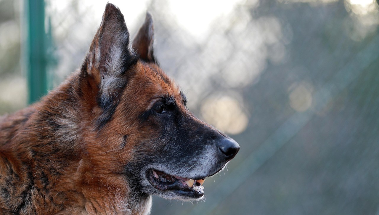 L’argent a bel et bien une odeur