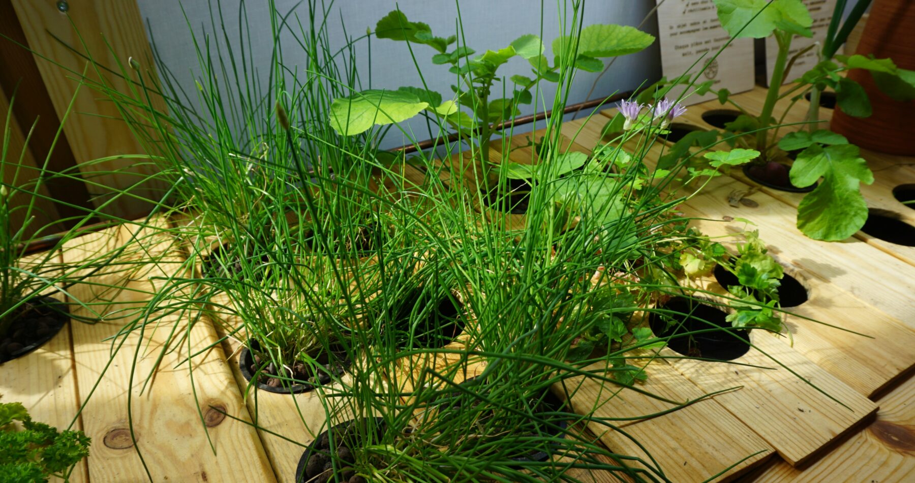 Habiter sans gaspiller : immersion dans un logement low-tech