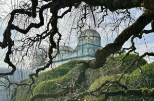 Serre du Congo au domaine royal de Laeken. © CDB