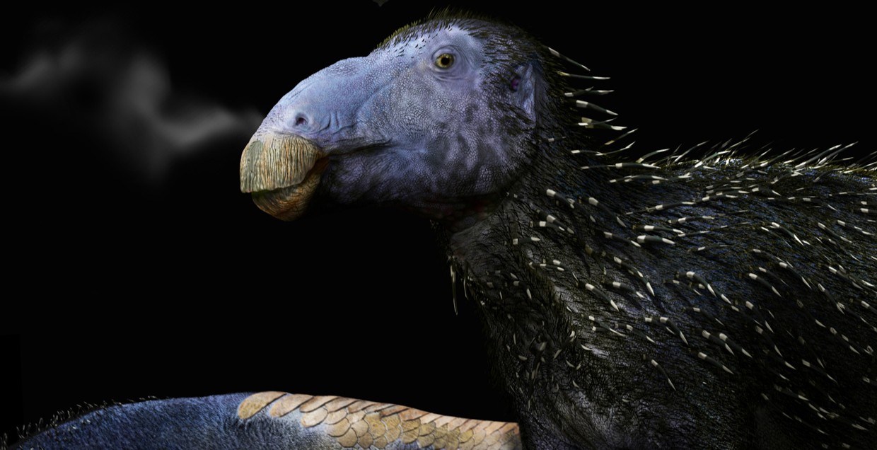 Un dinosaure qui a du piquant